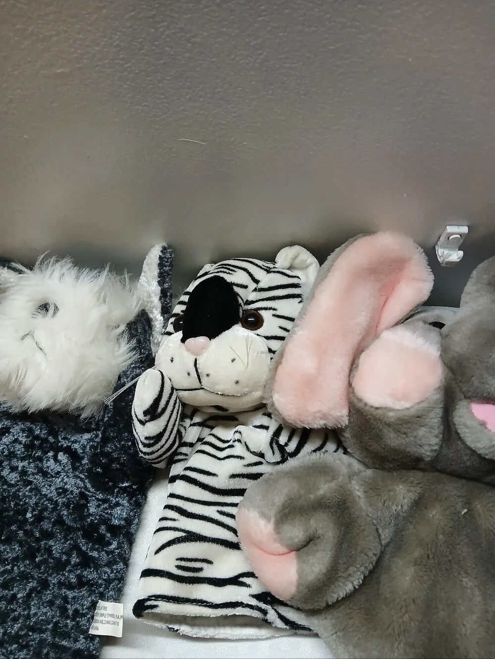 N/A several animal
